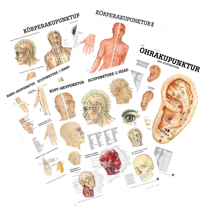Miniposter "Körperakupunktur"