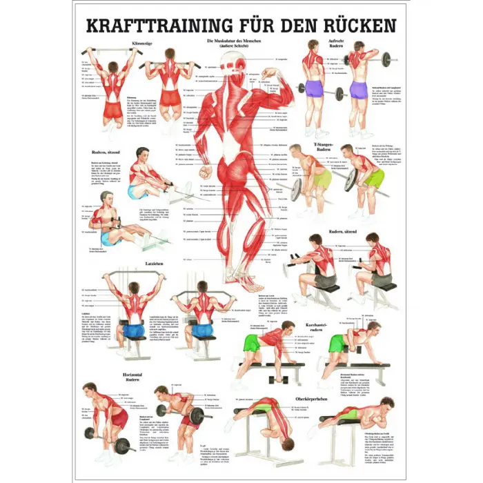 Krafttraining für den Rücken Lehrtafel 70 x 100 cm | laminiert