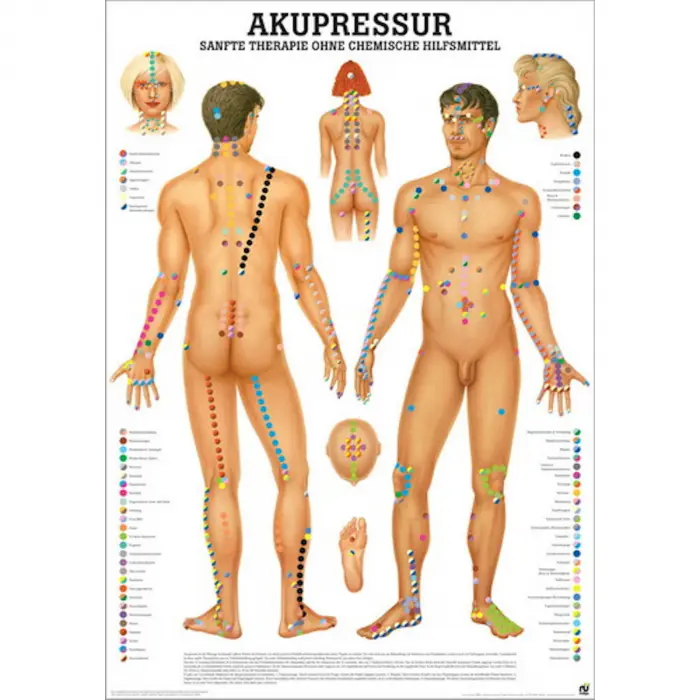 Akupressur - Sanfte Therapie ohne chemische Hilfsmittel Poster 50 x 70 cm | unlaminiert