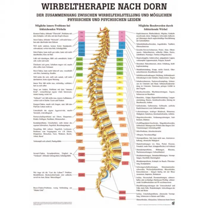 Wirbeltherapie nach Dorn Poster 50 x 70 cm | laminiert
