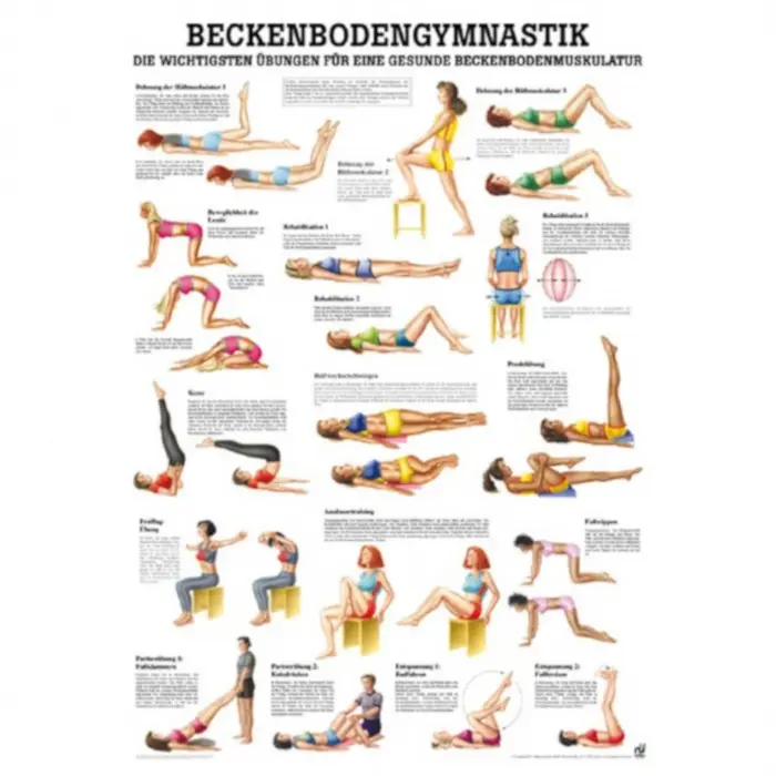 Beckenbodengymnastik Mini-Poster 24 x 34 cm | unlaminiert