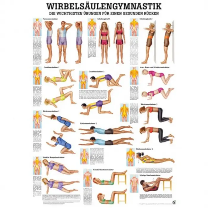 Wirbelsäulengymnastik u. Richtig & Falsch für den Rücken Wirbelsäulengymnastik | Mini-Poster 24 x 34 cm | unlaminiert