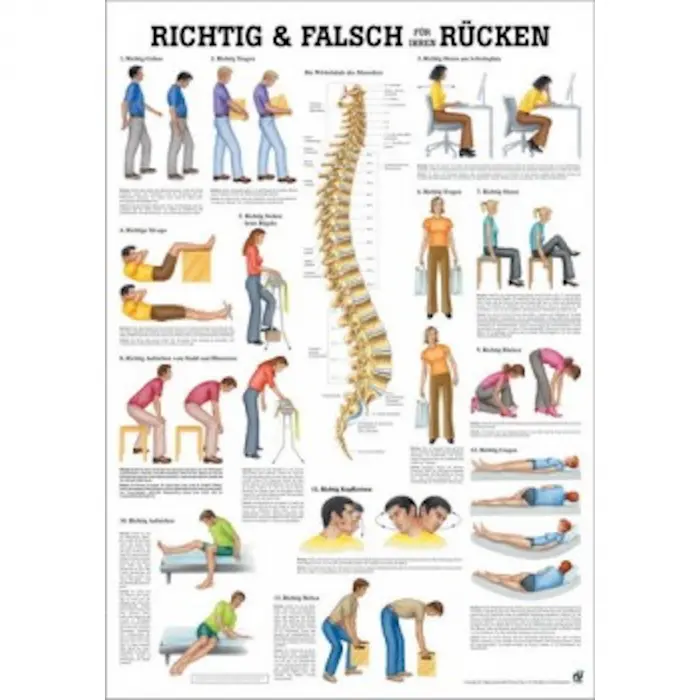 Wirbelsäulengymnastik u. Richtig & Falsch für den Rücken Richtig & Falsch für den Rücken | Mini-Poster 24 x 34 cm | unlaminiert