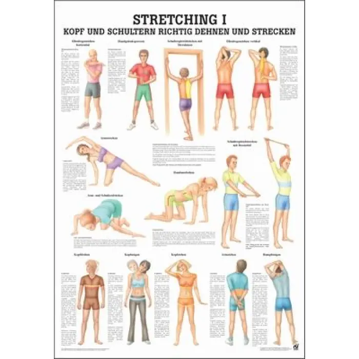 "Stretching I, II und III'' Stretching I Kopf u. Schulter | Lehrtafel 70 x 100 cm | laminiert