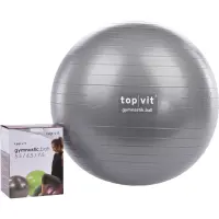 top | vit® gymnastic.ball Ø 55 cm | graphit