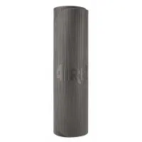 Airex Fitline Studio 100