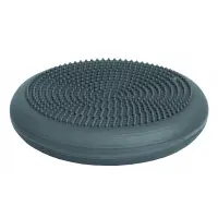 Togu® Dynair® Ballkissen® Senso mit Actisan