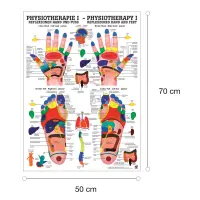 "Physiotherapie I-IX" Physiotherapie I-Reflexzonen Hand- u. Fuß | Poster 50 x 70 cm | laminiert
