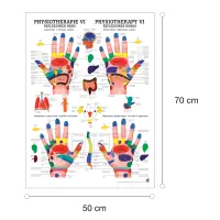 "Physiotherapie I-IX" Physiotherapie VI-Reflexzonen Hand | Poster 50 x 70 cm | unlaminiert