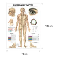 Miniposter "Körperakupunktur" Körperakupunktur | Lehrtafel 70 x 100 cm | laminiert