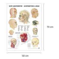 Miniposter "Körperakupunktur" Kopfakupunktur | Poster 50 x 70 cm | laminiert