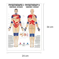 Physiotherapie II - Thermotherapie Mini-Poster 24 x 34 cm | unlaminiert