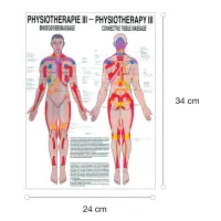 Physiotherapie III - Bindegewebsmassagen Mini-Poster 24 x 34 cm | unlaminiert