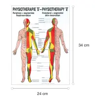 "Physiotherapie I-IX" Physiotherapie V-Hautinnervation | Mini-Poster 24 x 34 cm | unlaminiert