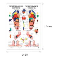 "Physiotherapie I-IX" Physiotherapie VII-Reflexzonen Fuß | Mini-Poster 24 x 34 cm | unlaminiert