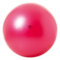 Togu® Theragym® Ball ABS®