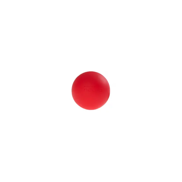 ARTZT neuro BrainBoost Ball