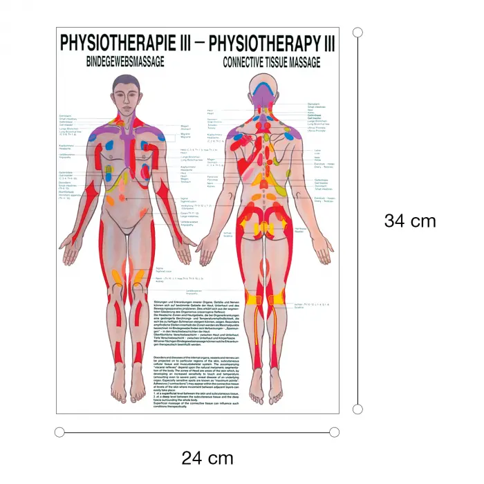 Physiotherapie III - Bindegewebsmassagen Mini-Poster 24 x 34 cm | unlaminiert