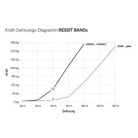 BLACKROLL® RESIST BAND grau - stark