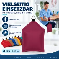 Sandsack mit Ring 3,0 kg - ca. 37 x 25 cm | beere
