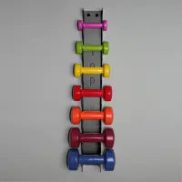 top | vit® dumbbell.wandhalterung Wandhalterung 7.0 | anthrazit