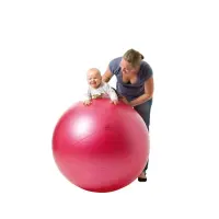 Togu® Theragym® Ball ABS®