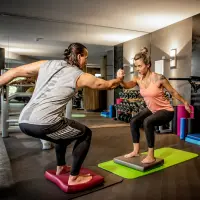 Airex Fitline Studio 100