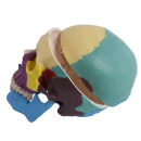 morepic-6