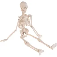 Mini-Skelett, 45cm
