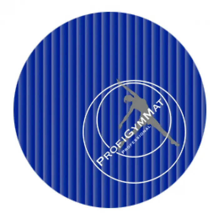 RehaMat Professional, 200 x 100 x 2,5 cm