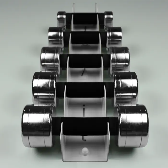 top | vit® dumbbell.wandhalterung Wandhalterung 5.0 | silber