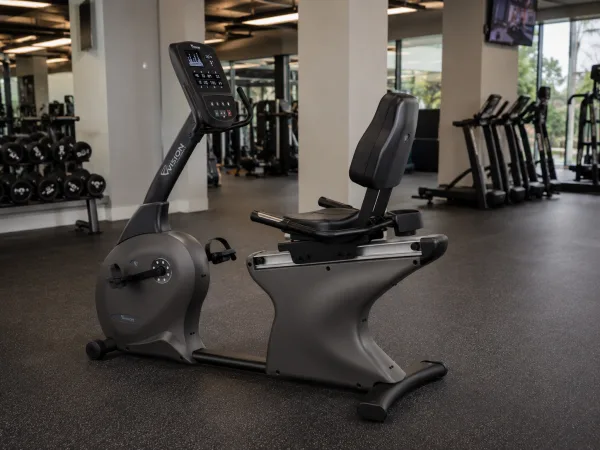 Professionelle Ergometer