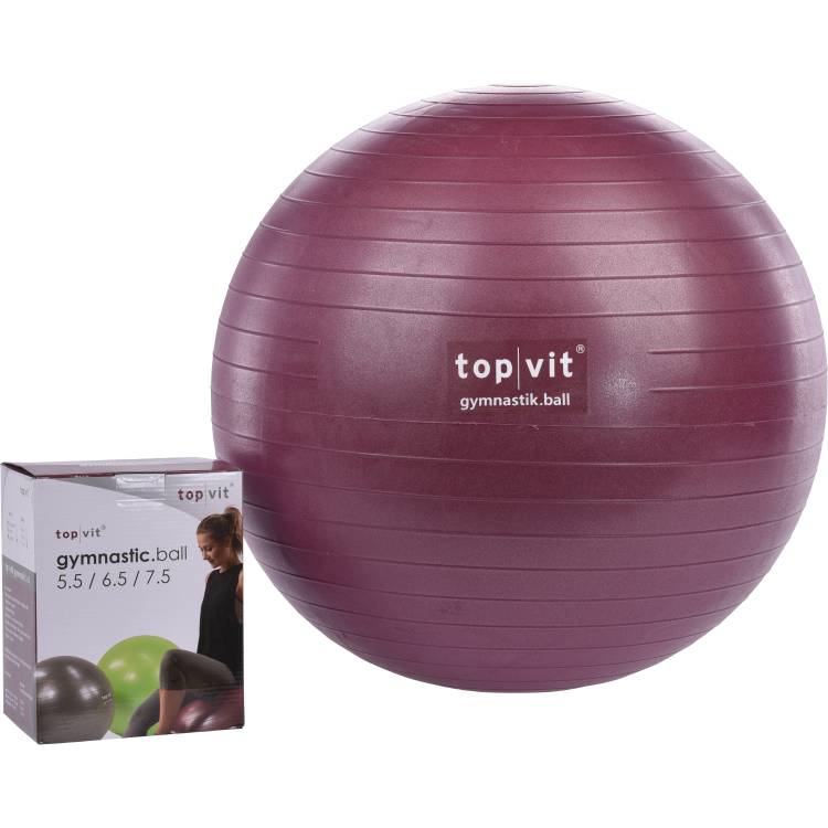 top | vit® gymnastic.ball - Ausstellungsstück Ø 65 cm | brombeere - B-Ware