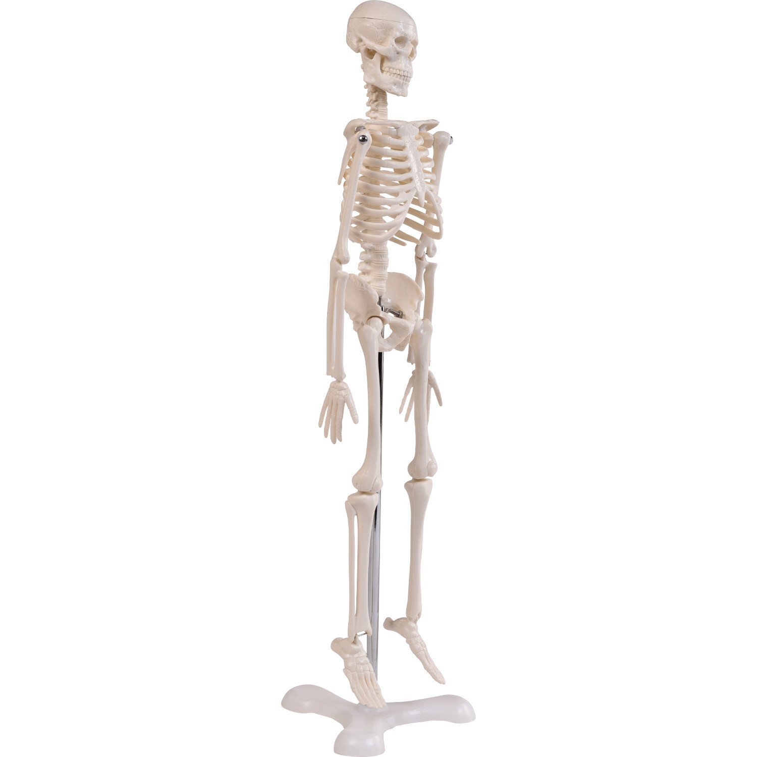Mini-Skelett, 45cm 