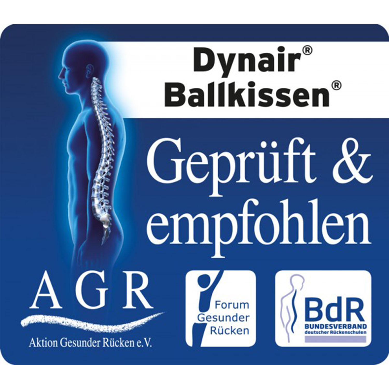 Togu® Dynair® Ballkissen® XL, Ø 36 cm pink