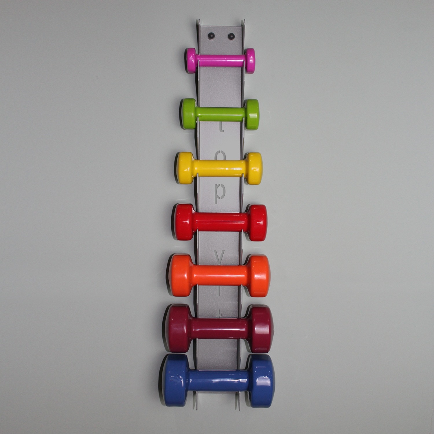 top | vit® dumbbell.wandhalterung Wandhalterung 7.0 | silber