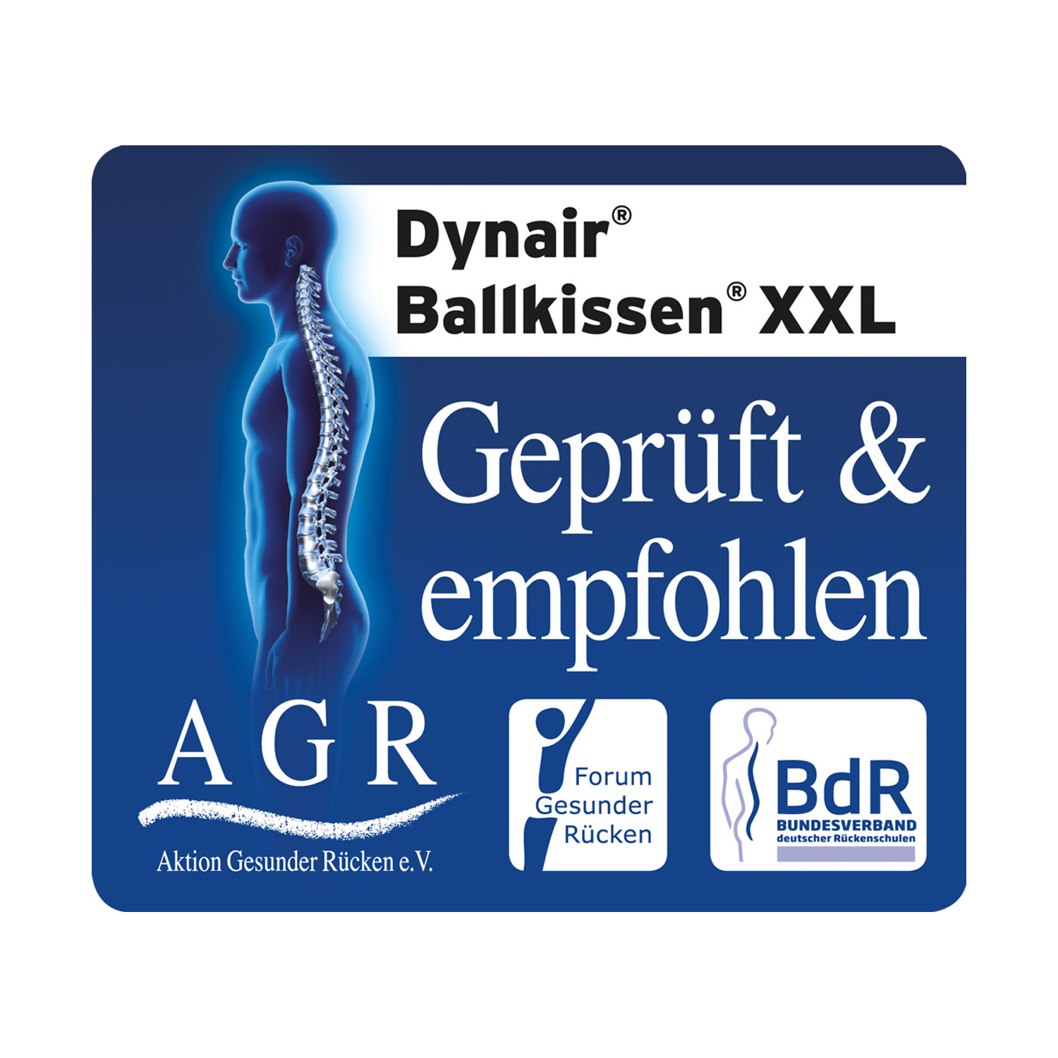 Dyn Air® Ballkissen® XXL XXL ca. 50 cm - Meditation Level III | dunkelrot