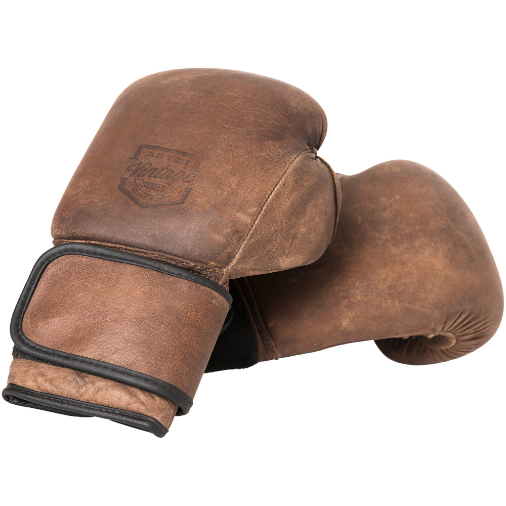 ARTZT Vintage Series Boxen 