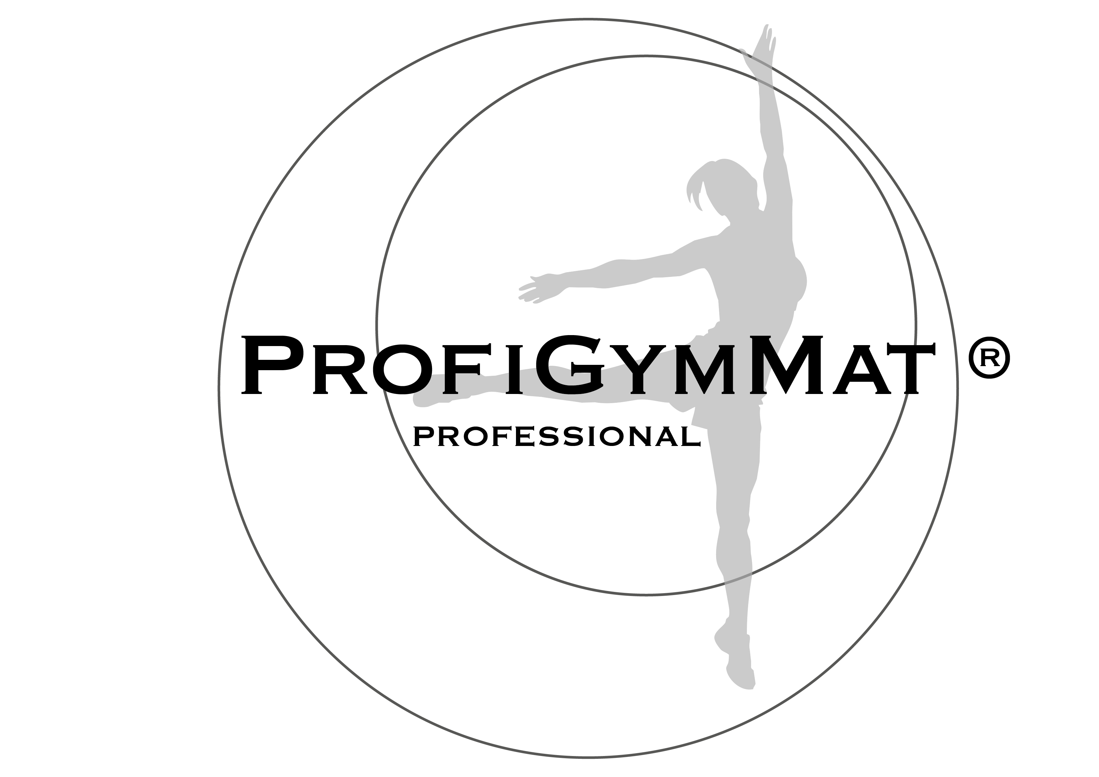 ProfiGymMat® Professional 190 anthrazit | mit Ösen