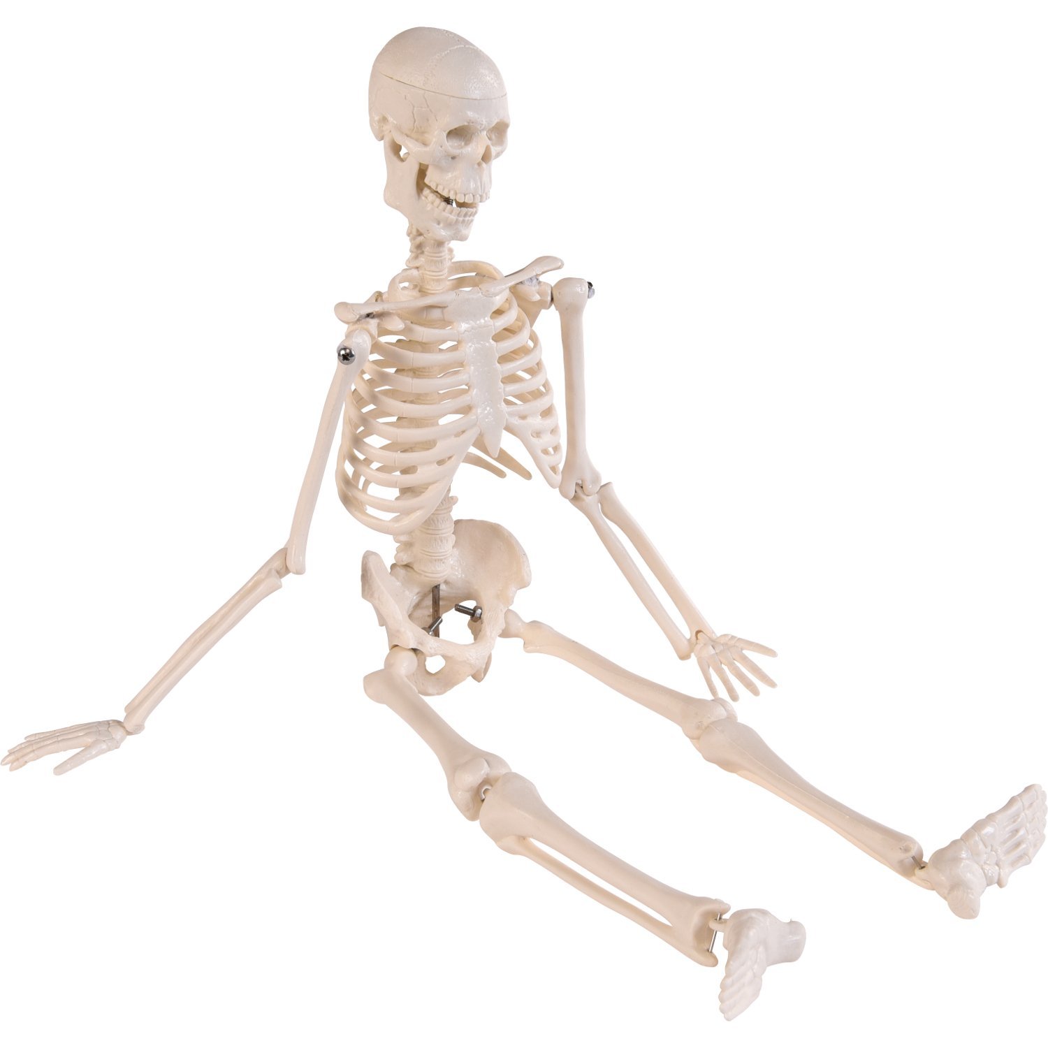 Mini-Skelett, 45cm 